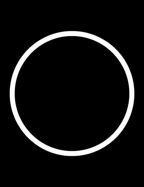 Activo de Trazabilidad